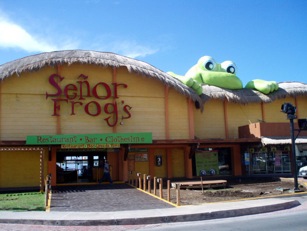 SenorFrogs