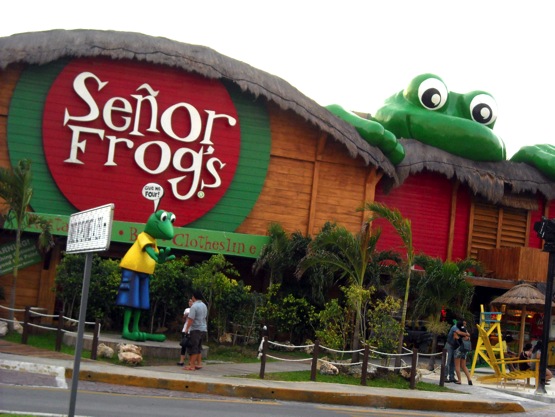 srfrogs2010